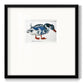 Blue Mallard - Double Matboard Framed Print