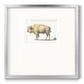 White Buffalo Premium Framed Print Double Matboard