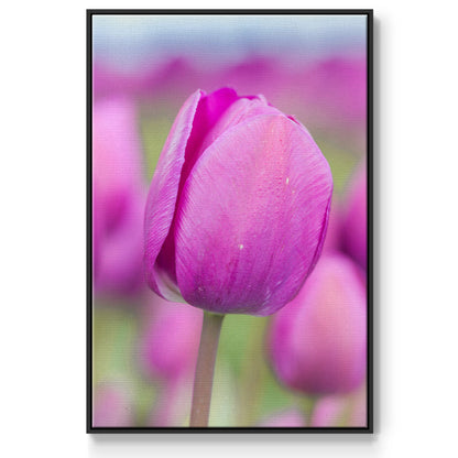 Magenta Stem - Framed Premium Gallery Wrapped Canvas L Frame - Ready to Hang