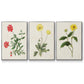 Flowers of the Seasons X - Floater Framed Canvas Set