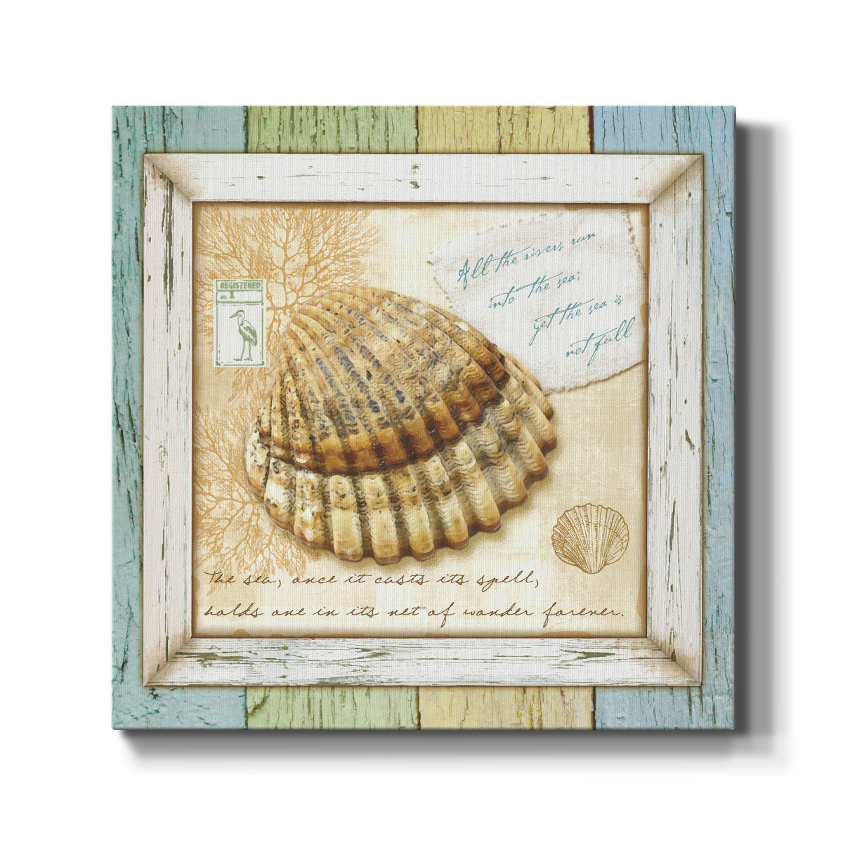 Sea Treasures V-Premium Gallery Wrapped Canvas - Ready to Hang