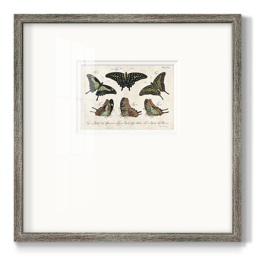 Crackled Butterflies II Premium Framed Print Double Matboard