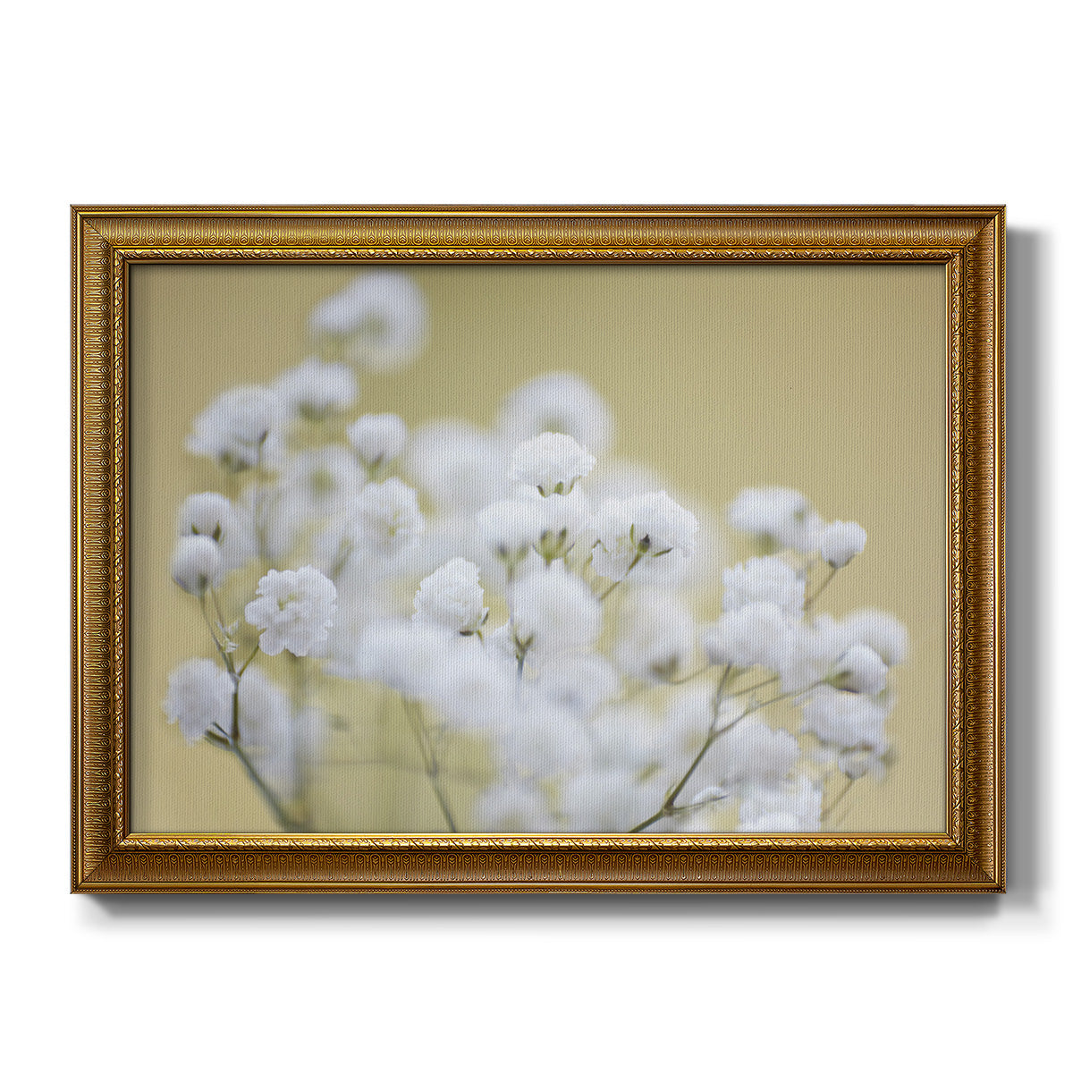 Baby's Breath Study III Premium Framed Canvas- Ready to Hang