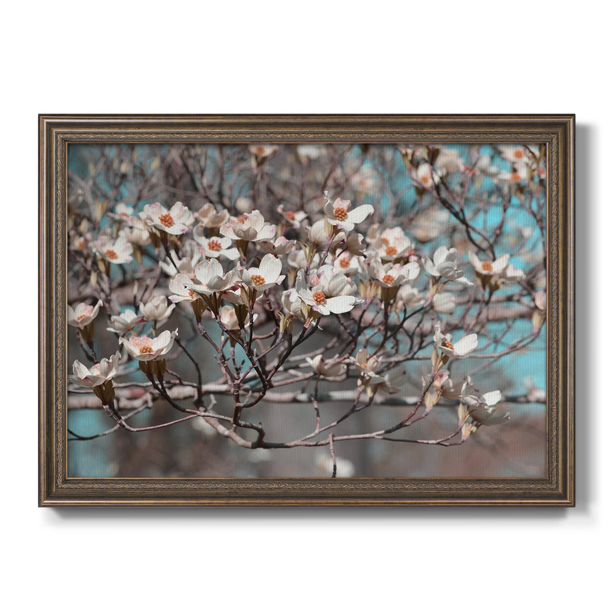 Dogwood Spring II Premium Framed Canvas- Ready to Hang