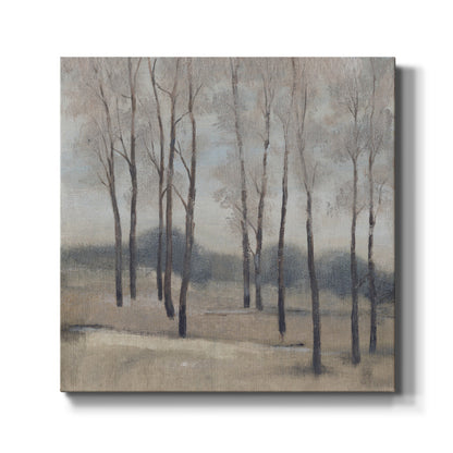 Soft Light II - Canvas Art Print