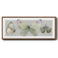 Pretty Insects II - Floater Framed Canvas Print