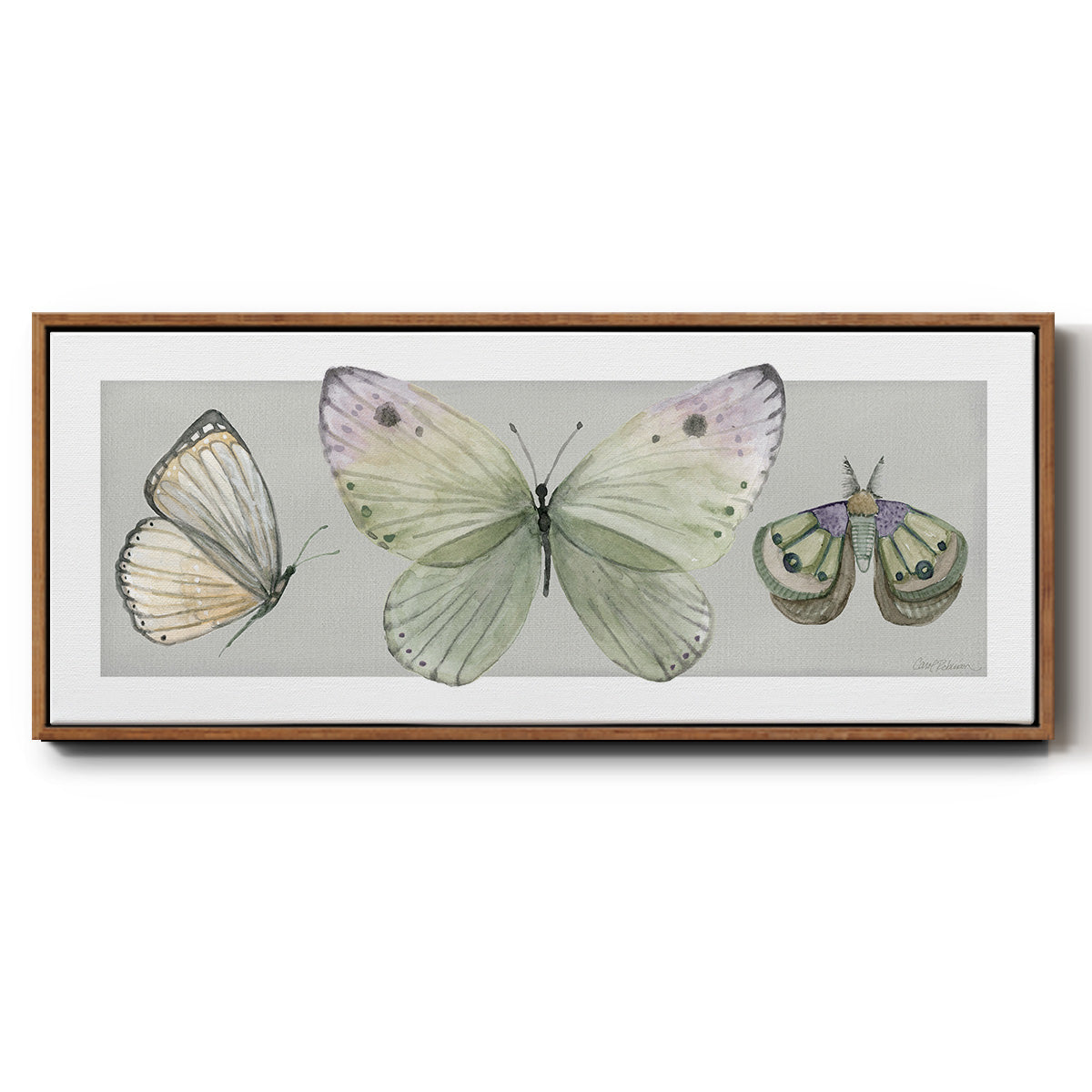 Pretty Insects II - Floater Framed Canvas Print