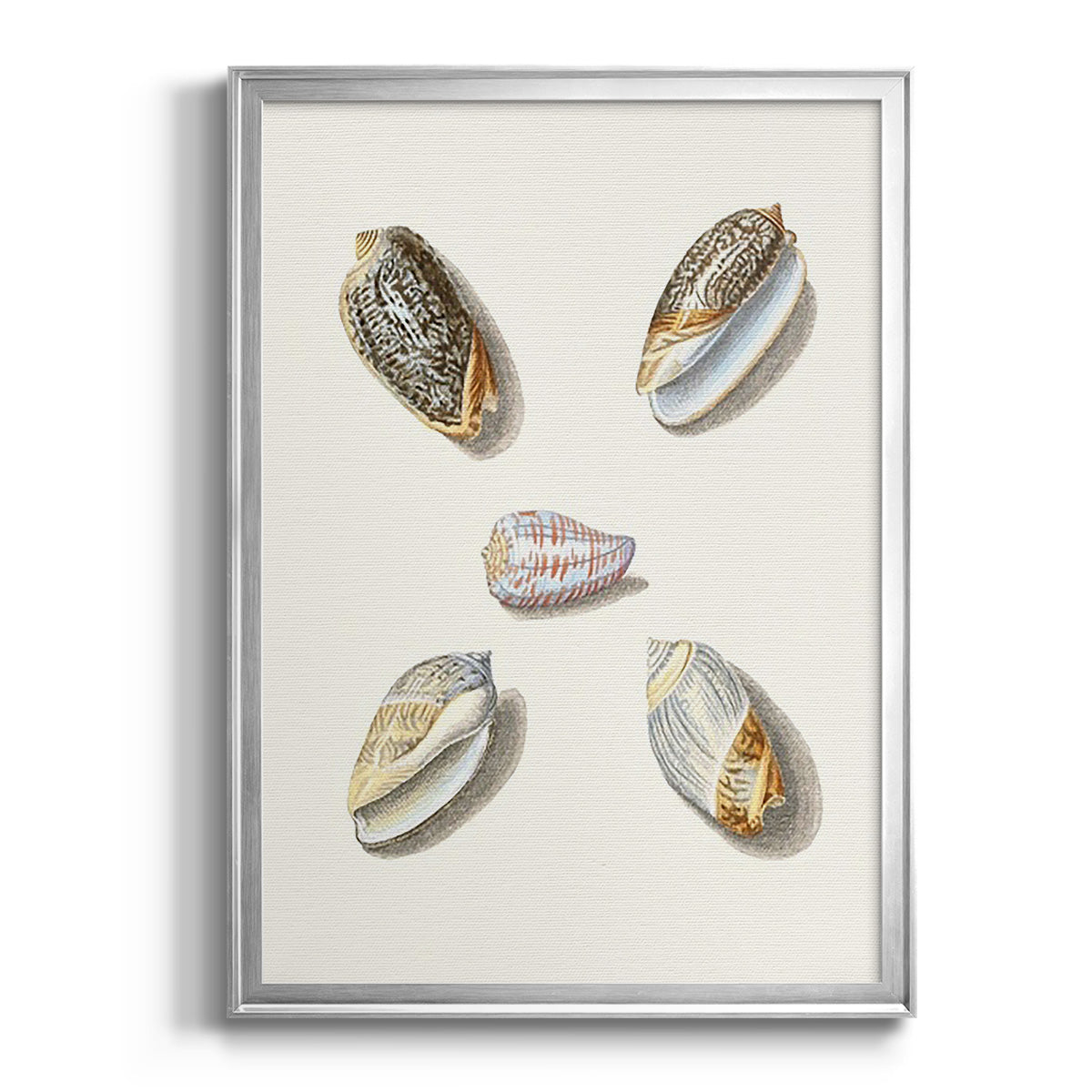 Pastel Knorr Shells III - Modern Framed Canvas Print