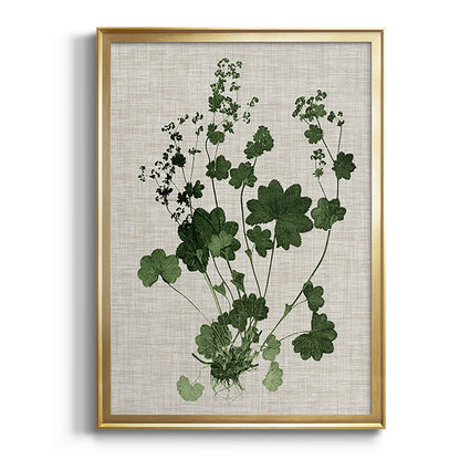 Forest Foliage on Linen III - Modern Framed Canvas Print