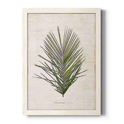 Palm Botanical I - Premium Canvas Framed in Barnwood - Ready to Hang