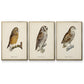 French Owls I - Framed Premium Gallery Wrapped Canvas L Frame 3 Piece Set - Ready to Hang