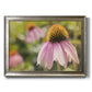 Echinacea Study I Premium Framed Canvas- Ready to Hang