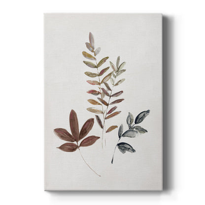 Autumn Leaves II - Canvas Art Print