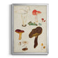 Mushroom Species XI - Modern Framed Canvas Print