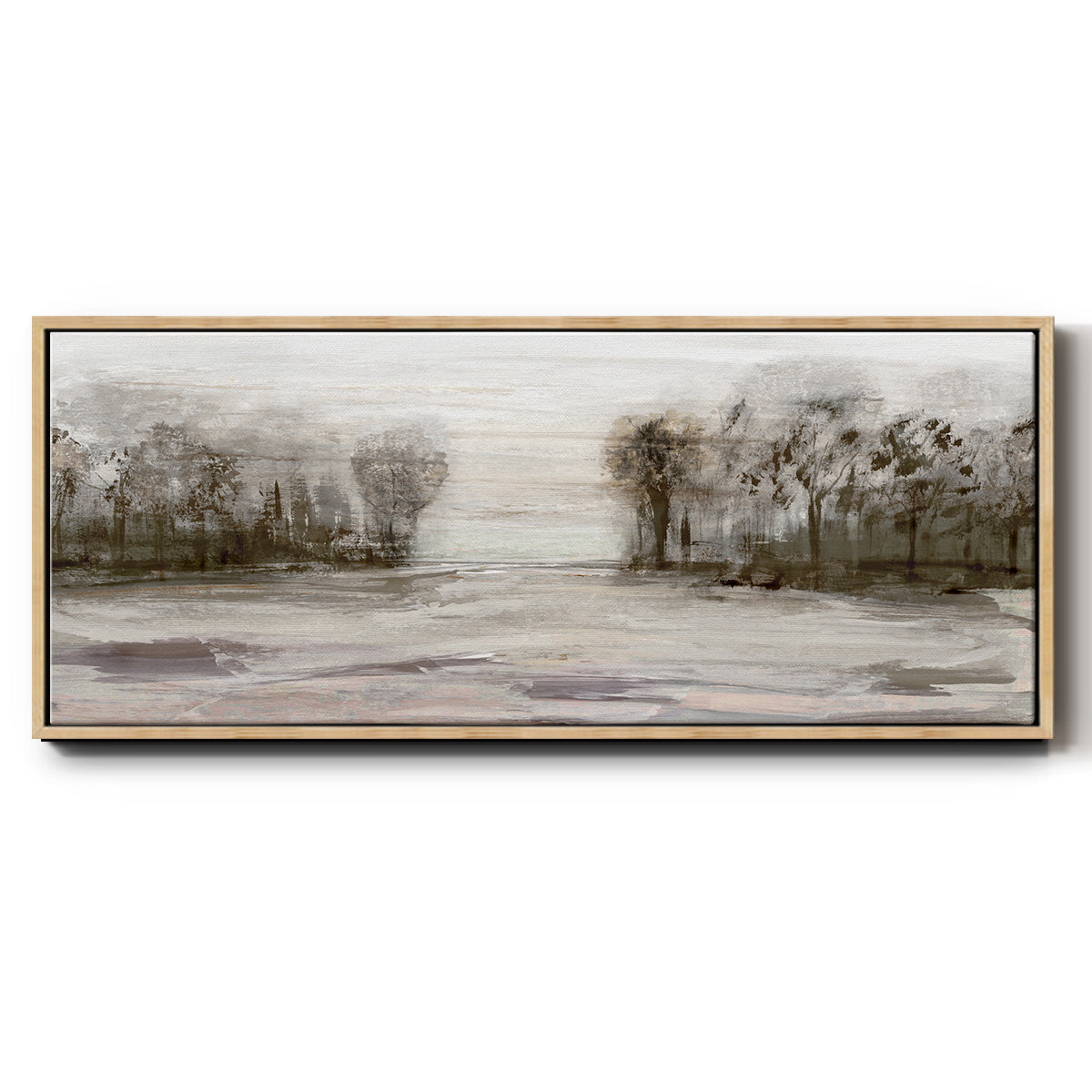 Near Graham Mountain - Floater Framed Canvas Print