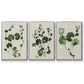 Forest Foliage on Linen I - Framed Premium Gallery Wrapped Canvas L Frame 3 Piece Set - Ready to Hang