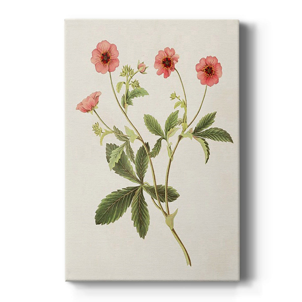 Flowers of the Seasons VIII - Canvas Art Print