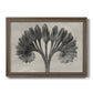 Vintage botanical plant study photograph by Karl Blossfeldt printed on canvas in an ornate traditional bronze frame.