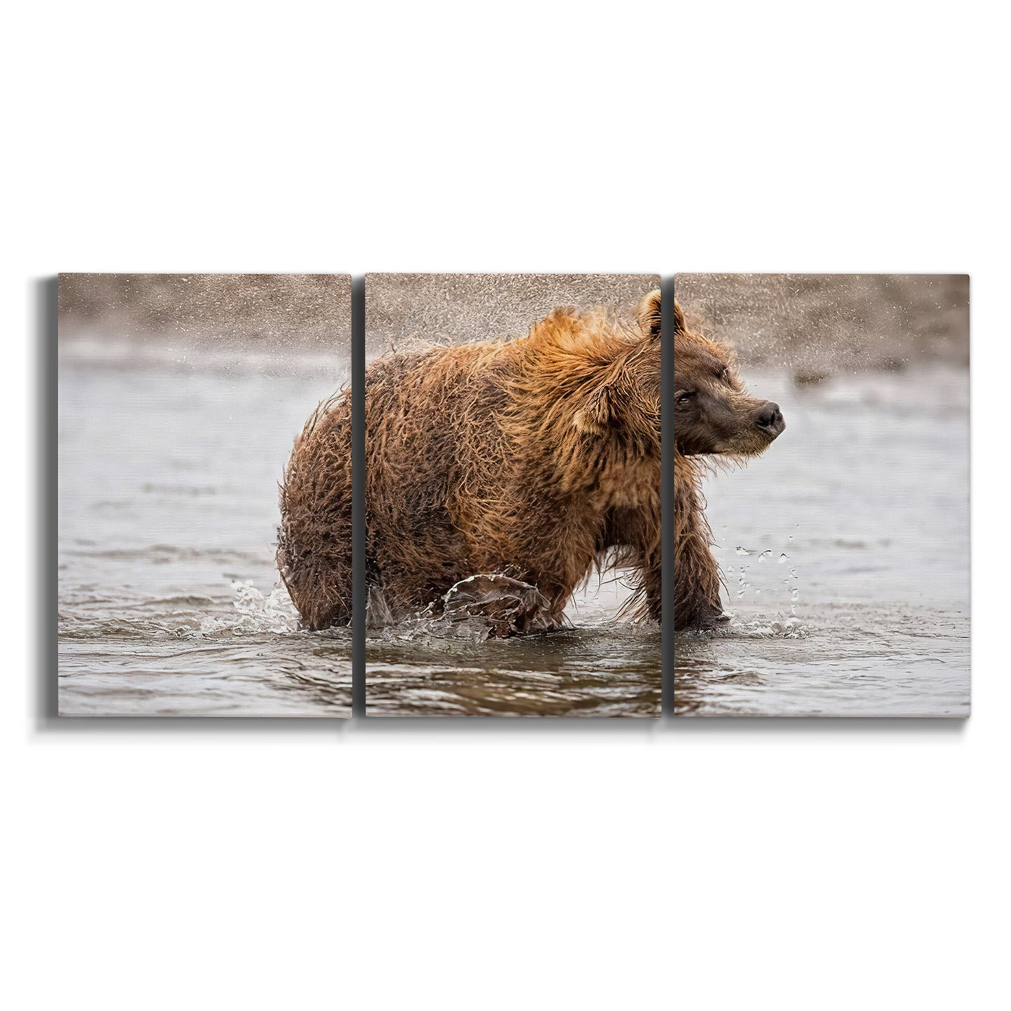 Three-panel canvas wall art featuring wildlife photography animal portrait on white background.