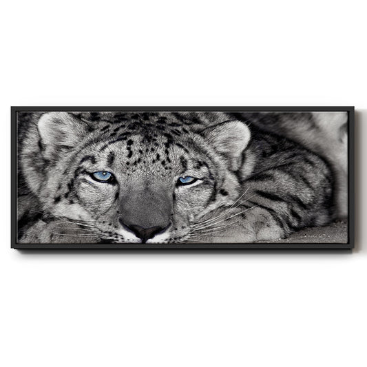 Snow Leopard Sanctuary - Floater Framed Canvas Print