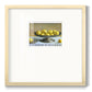 Silver Lemons Premium Framed Print Double Matboard