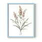 Dainty Botanical I - Restickable Framed Art Print