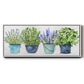Fresh Herb Collection - Floater Framed Canvas Print