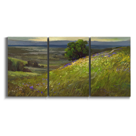 Three-panel canvas wall art featuring winding path through rolling hills on white background.