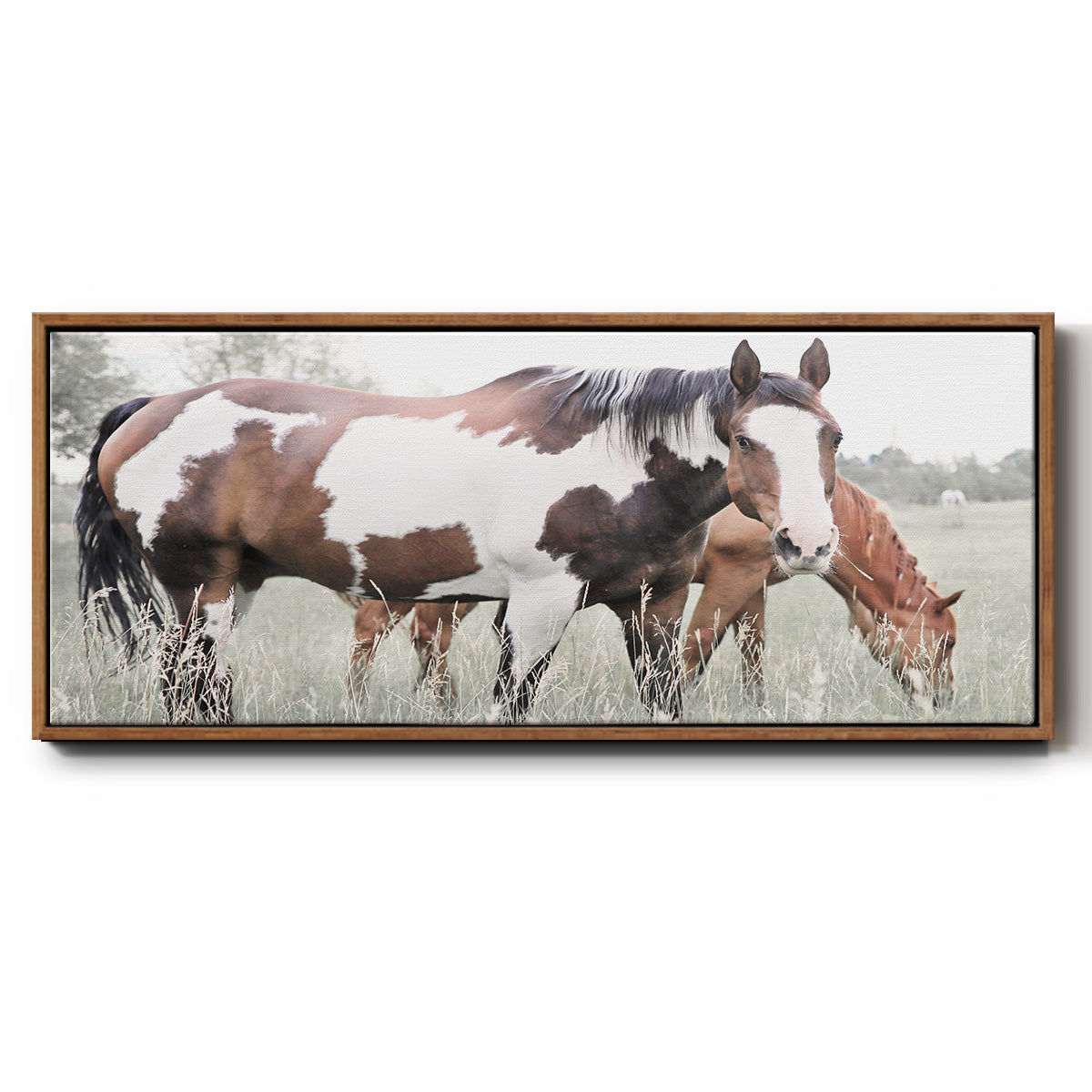 Grazin' - Floater Framed Canvas Print