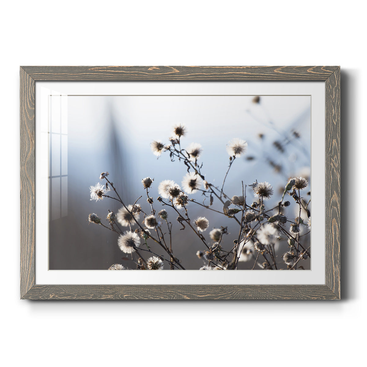 Spring Fluff - Barnwood Framed Art Print