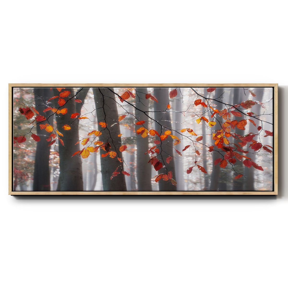 Falling Moments - Floater Framed Canvas Print