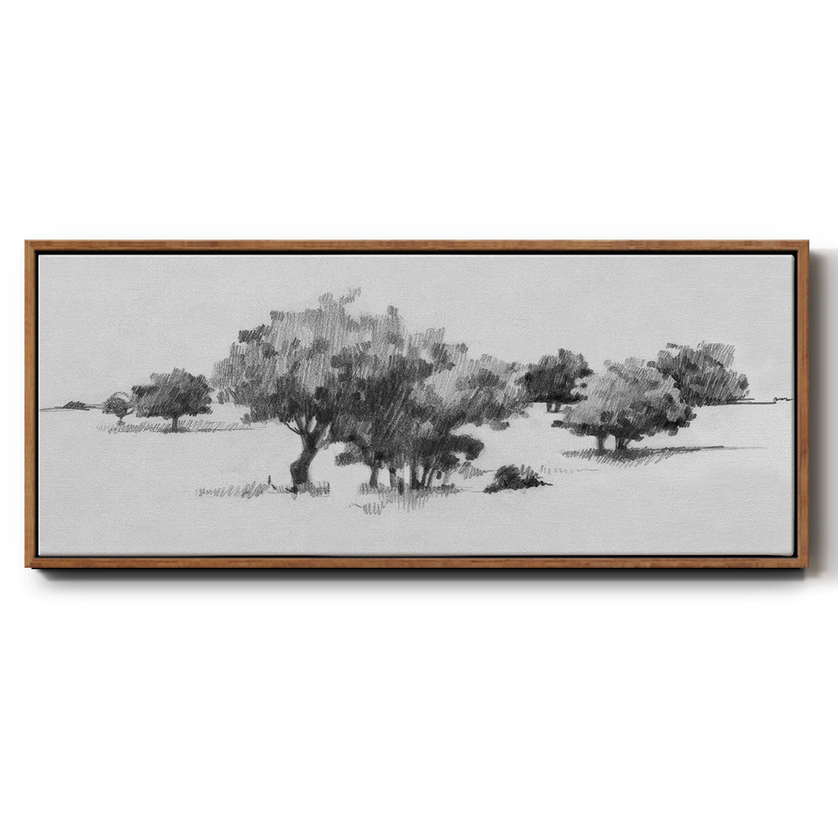 Treeline Sketch II - Floater Framed Canvas Print