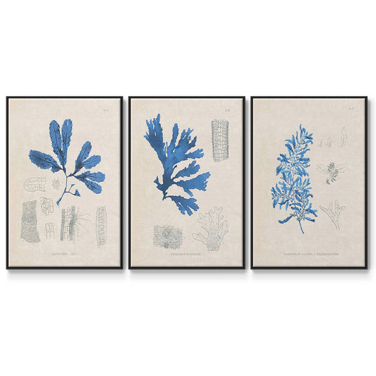 Blue Marine Algae VI - Floater Framed Canvas Set