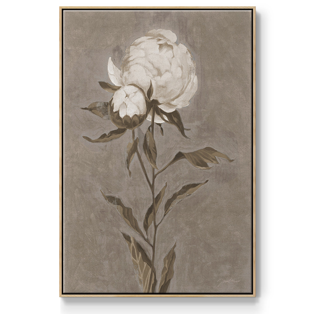 Pretty as a Peony II - Framed Premium Gallery Wrapped Canvas L Frame - Ready to Hang