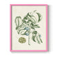 Buchoz Tropicals V - Restickable Framed Art Print