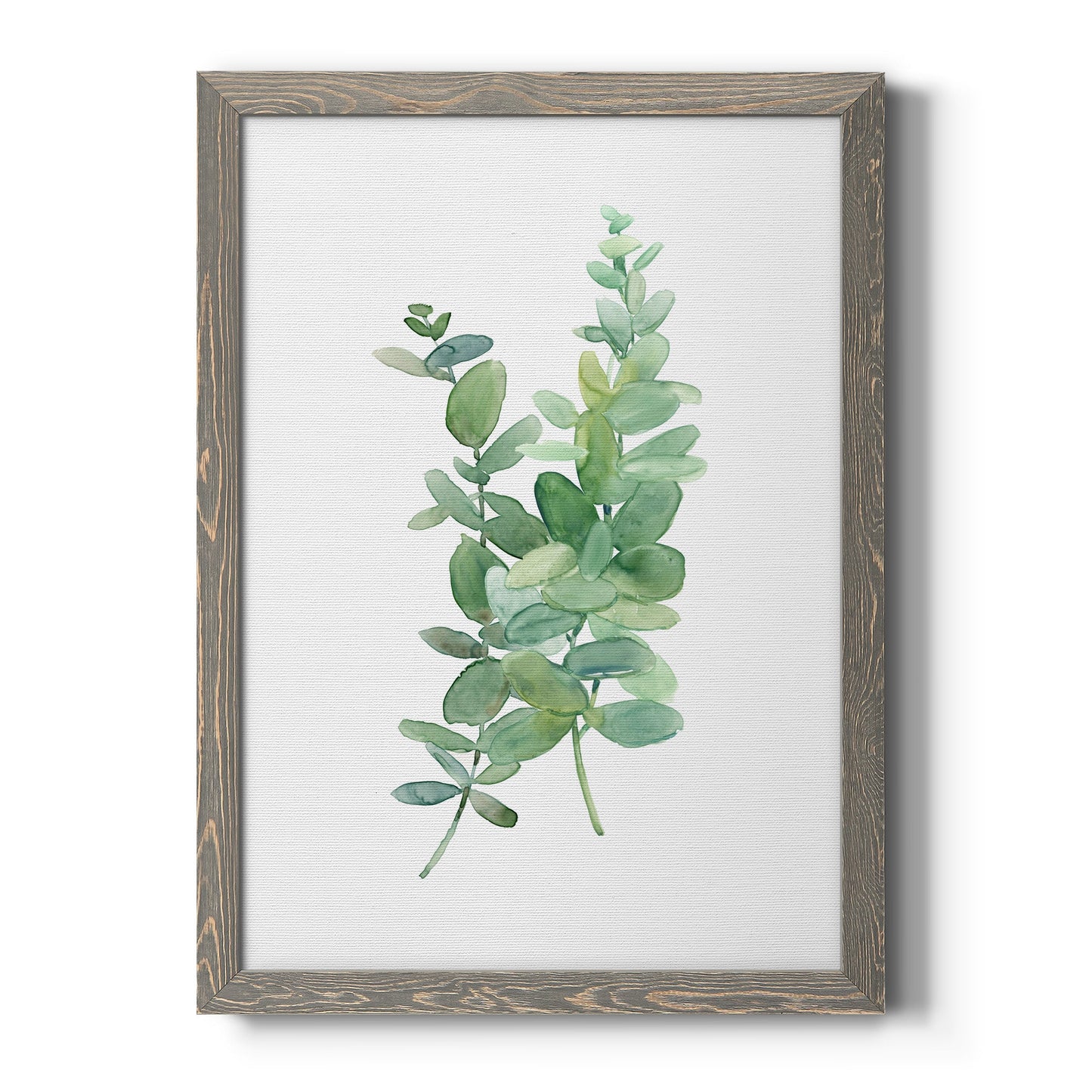 Eucalyptus I - Barnwood Framed Canvas Print