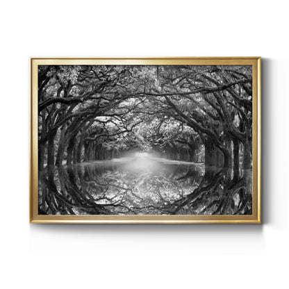 Oak Alley Reflection Premium Classic Framed Canvas - Ready to Hang