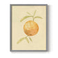 Dappled Oranges III - Restickable Framed Art Print