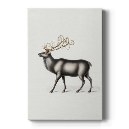 Snowwhite Carols Square - Canvas Art Print