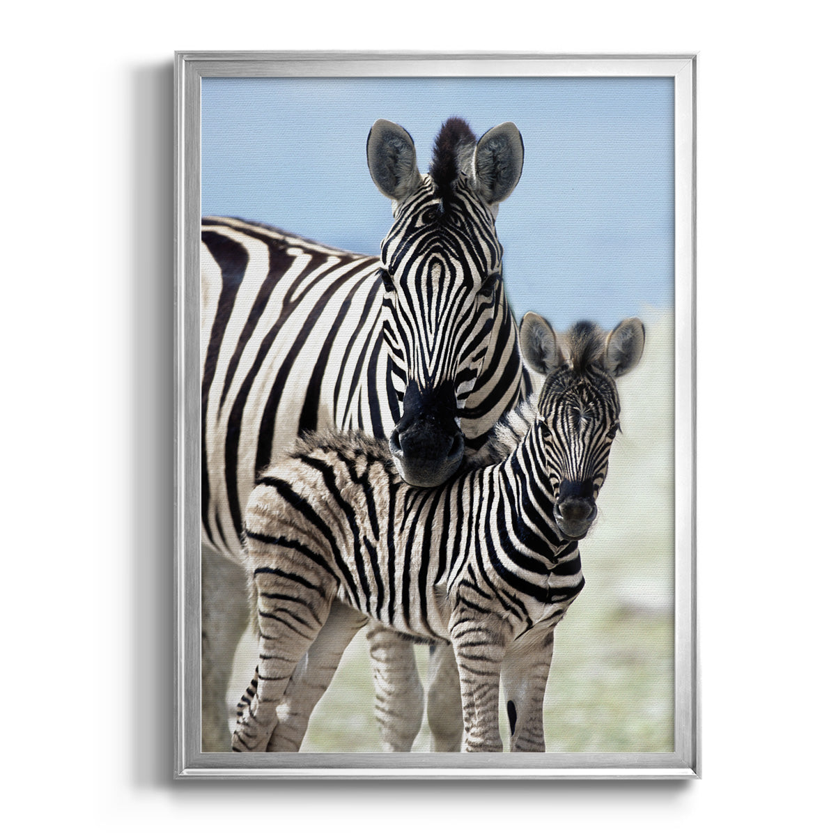 Family of Namibia - Modern Framed Canvas Print