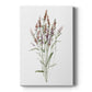 Dainty Botanical III - Canvas Art Print