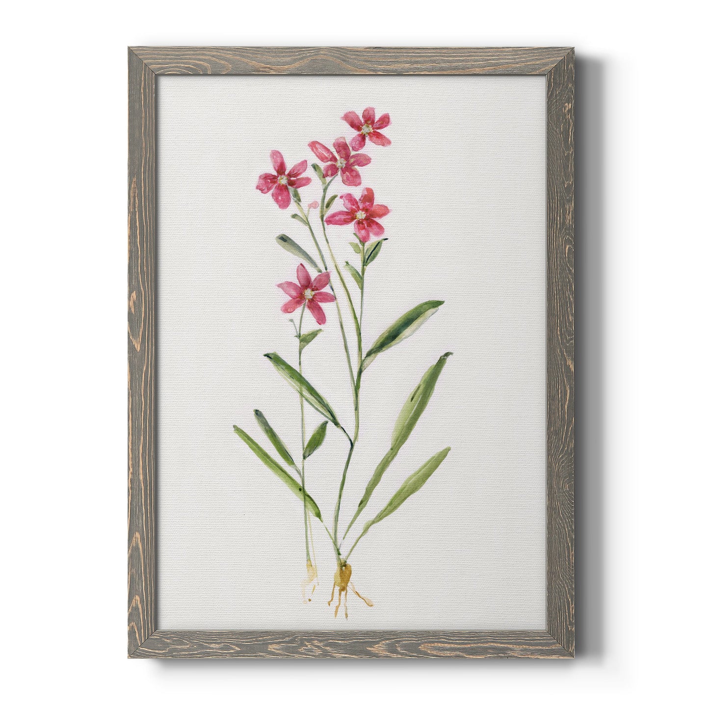 Delicate Pink II - Premium Canvas Framed in Barnwood - Ready to Hang