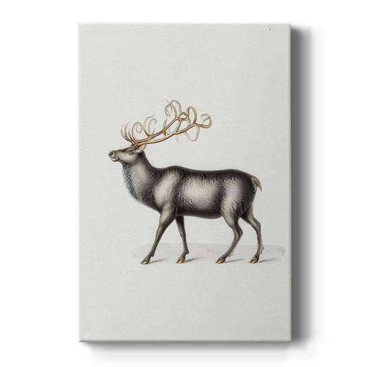 Lantern of Frostlit Blessing - Canvas Art Print