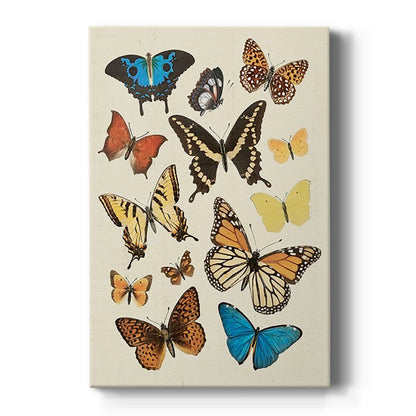 Collected Flutter II - Canvas Art Print
