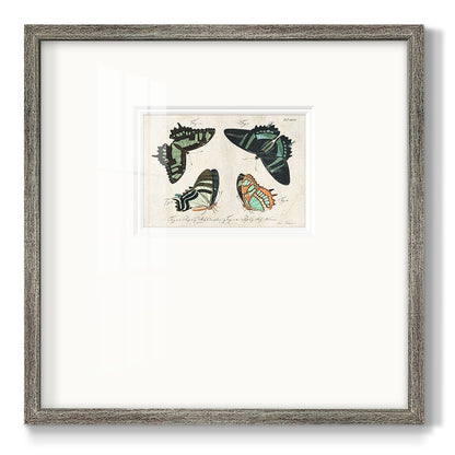 Crackled Butterflies III Premium Framed Print Double Matboard