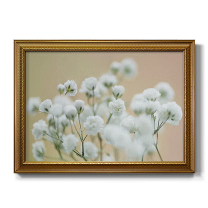 Baby's Breath Study II Premium Framed Canvas- Ready to Hang