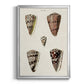 Cone Shell Collection III - Modern Framed Canvas Print