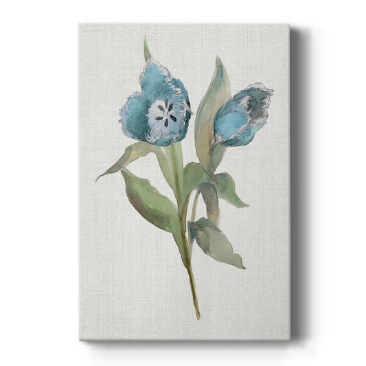 Blue Tulip Picks I Premium Gallery Wrapped Canvas - Ready to Hang