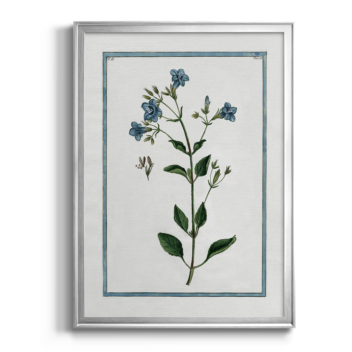 Shabby Chic Botanical II - Modern Framed Canvas Print