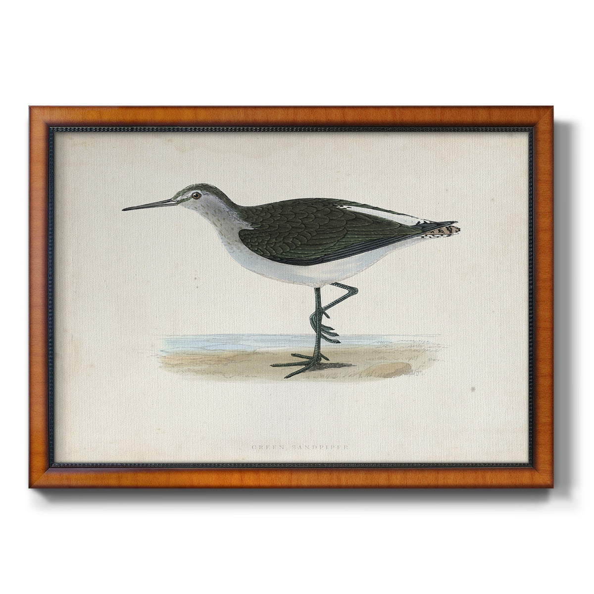 Morris Sandpipers VI Premium Framed Canvas- Ready to Hang